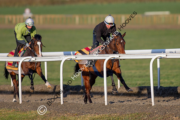 Newmarket Gallops