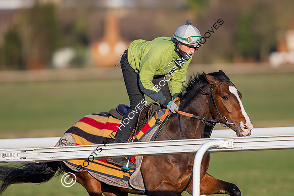 Newmarket Gallops