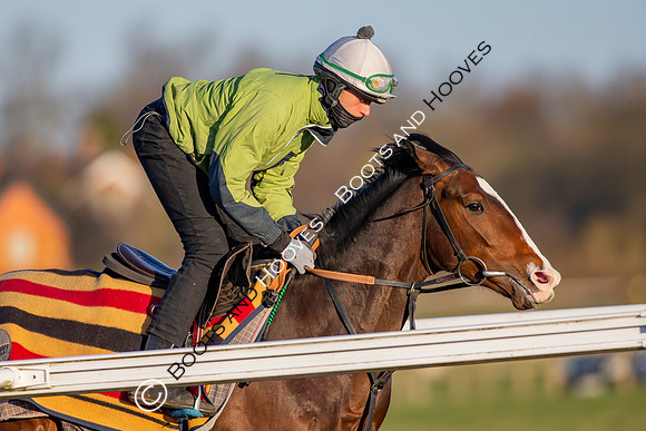 Newmarket Gallops