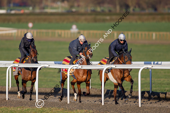 Newmarket Gallops