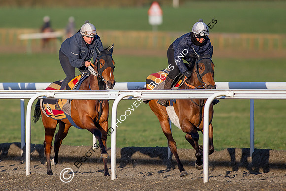 Newmarket Gallops