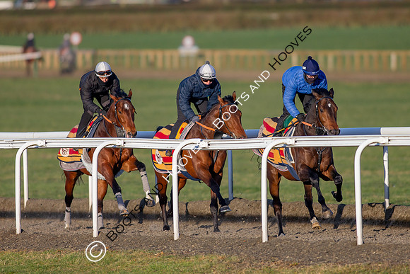 Newmarket Gallops