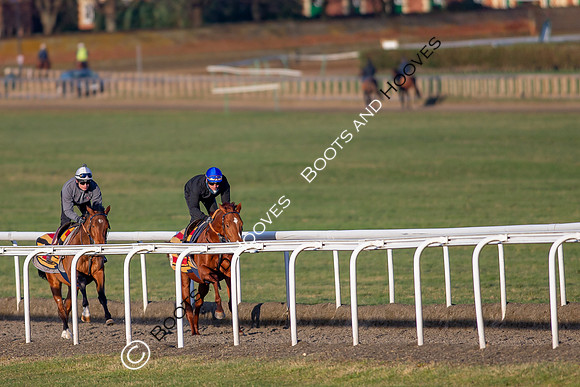 Newmarket Gallops