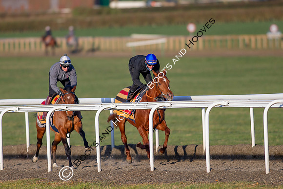 Newmarket Gallops