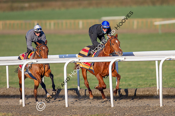 Newmarket Gallops