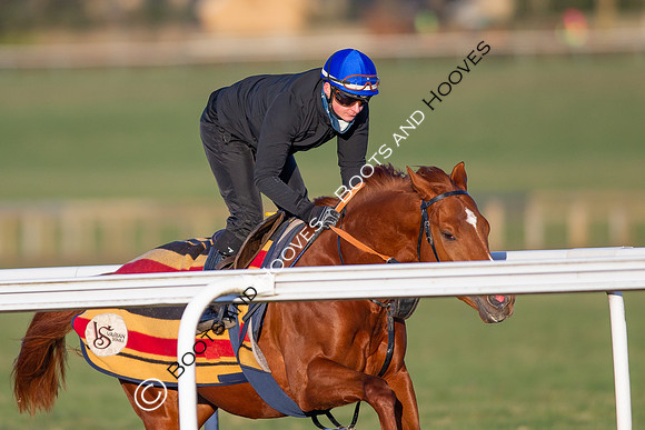 Newmarket Gallops