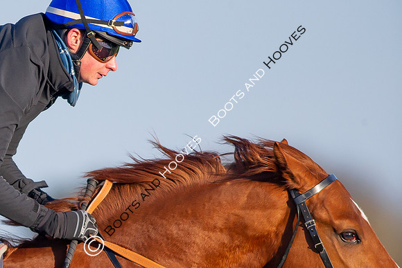 Newmarket Gallops