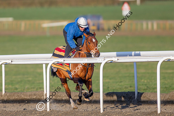 Newmarket Gallops
