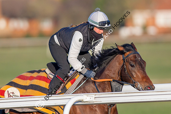 Newmarket Gallops