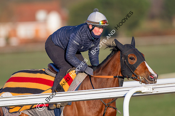 Newmarket Gallops