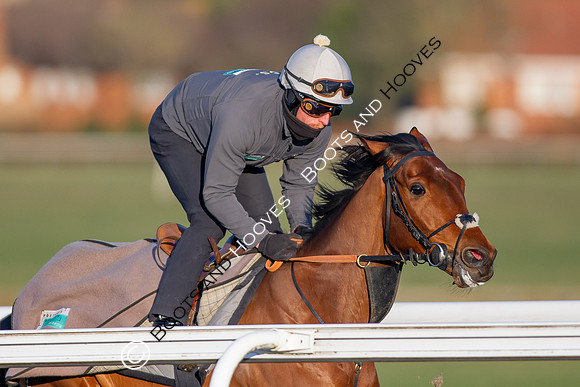 Newmarket Gallops