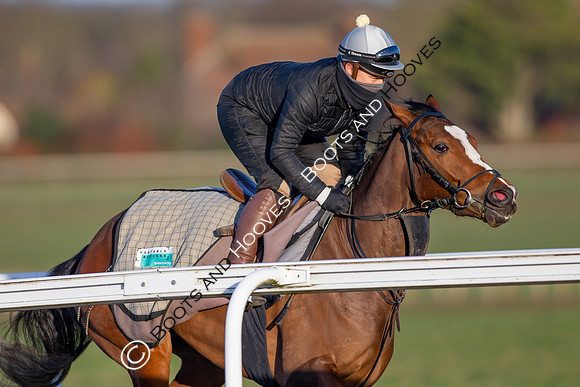 Newmarket Gallops