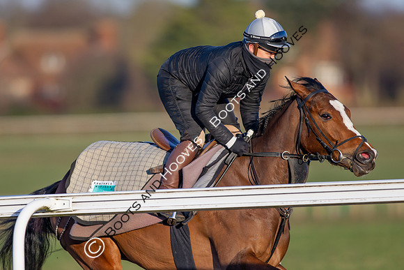 Newmarket Gallops