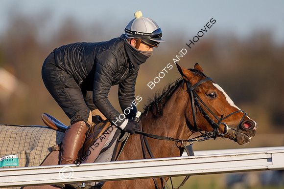 Newmarket Gallops