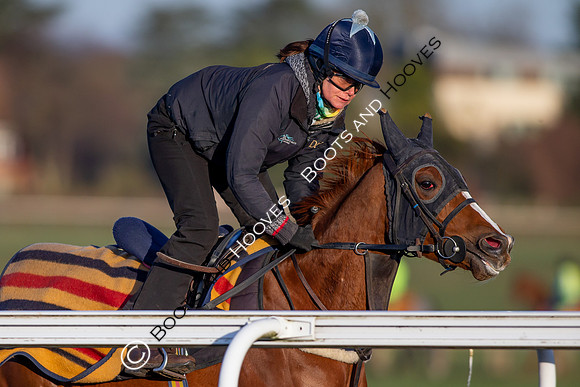 Newmarket Gallops