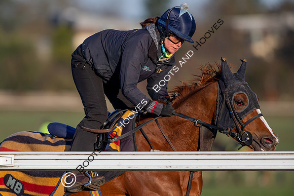 Newmarket Gallops