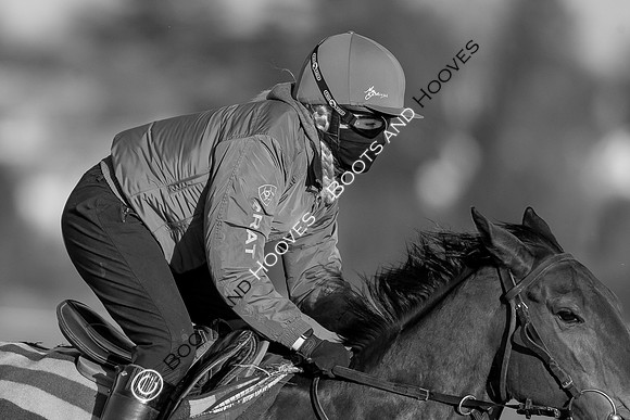 Newmarket Gallops