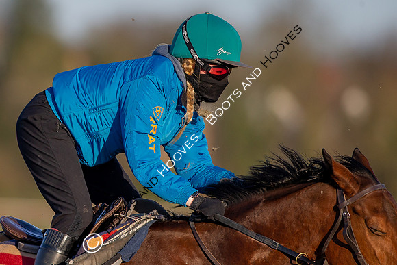 Newmarket Gallops