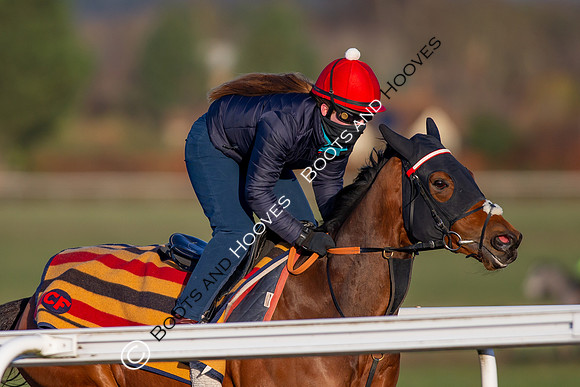 Newmarket Gallops