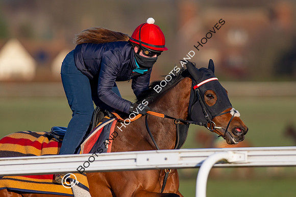 Newmarket Gallops