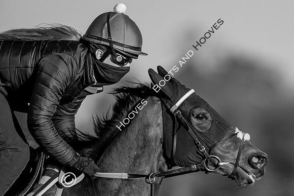 Newmarket Gallops