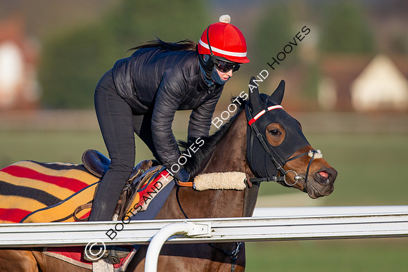 Newmarket Gallops