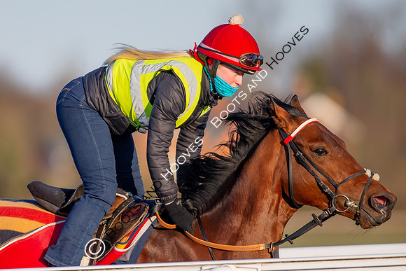 Newmarket Gallops
