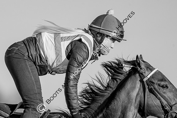 Newmarket Gallops