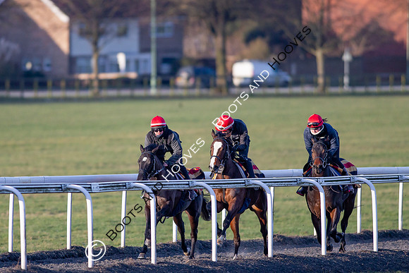 Newmarket Gallops