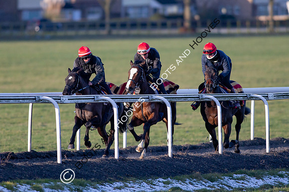 Newmarket Gallops