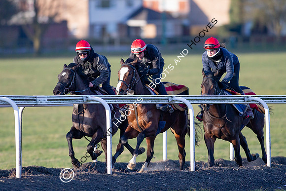 Newmarket Gallops
