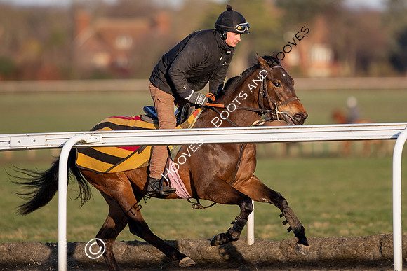Newmarket Gallops