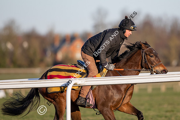 Newmarket Gallops