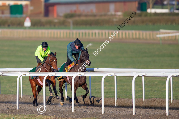 Newmarket Gallops