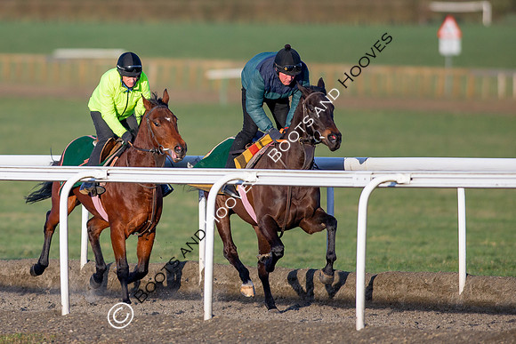 Newmarket Gallops