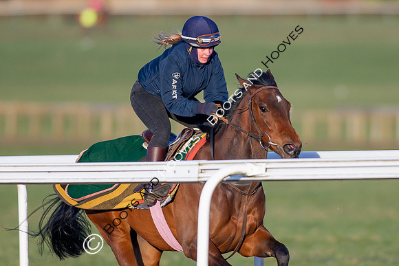 Newmarket Gallops