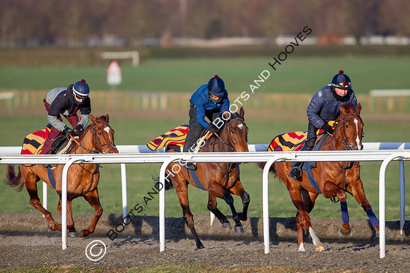 Newmarket Gallops