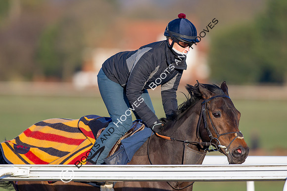 Newmarket Gallops
