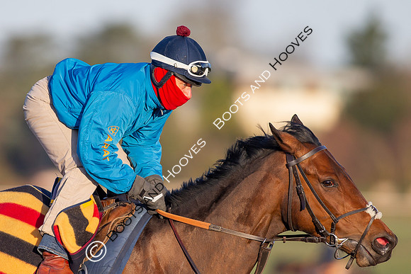 Newmarket Gallops