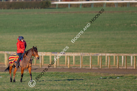 Newmarket Gallops