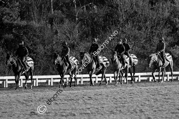 Newmarket Gallops