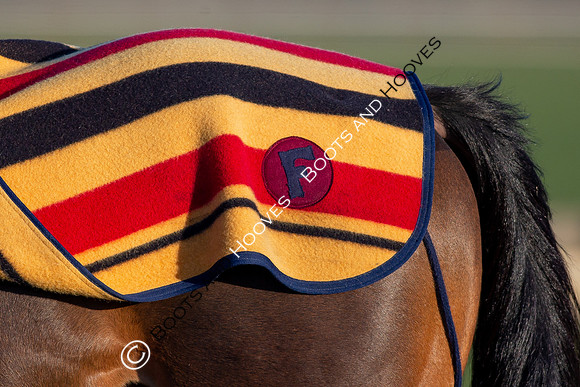 Newmarket Gallops