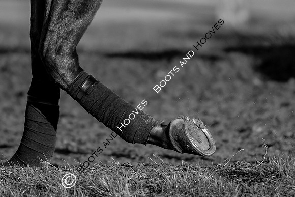Newmarket Gallops