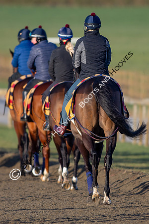 Newmarket Gallops
