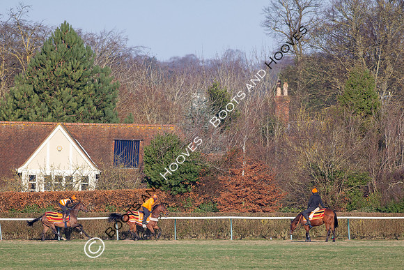Newmarket Gallops