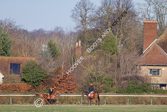 Newmarket Gallops