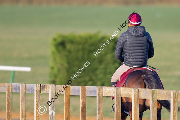 Newmarket Gallops