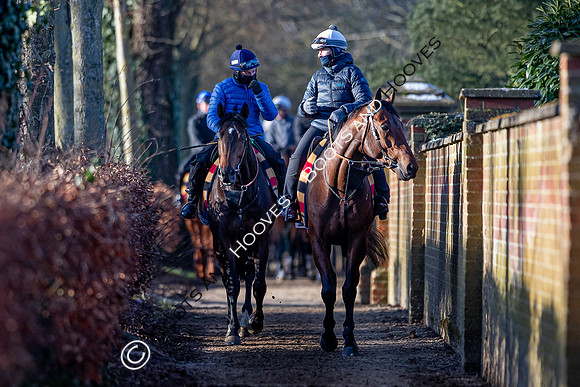 Newmarket Gallops