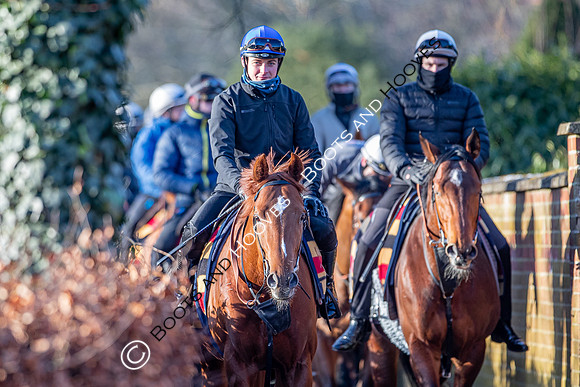 Newmarket Gallops