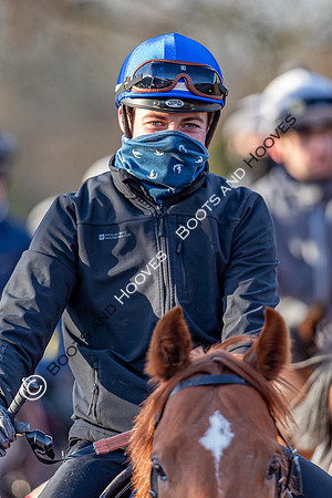 Newmarket Gallops